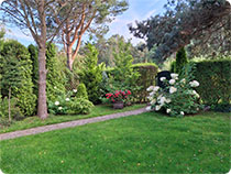 Bia�og�ra bialogora.com